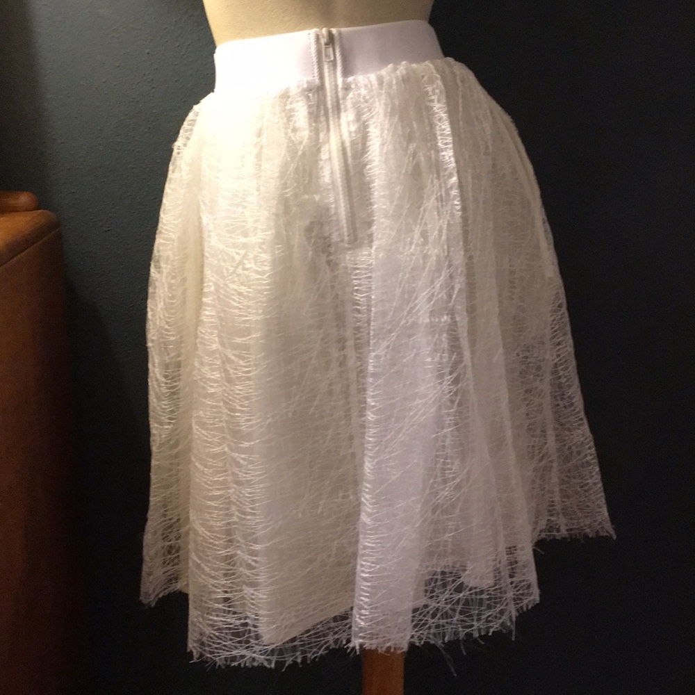 Mesh Layered Full Skirt - Picture 7 of 8